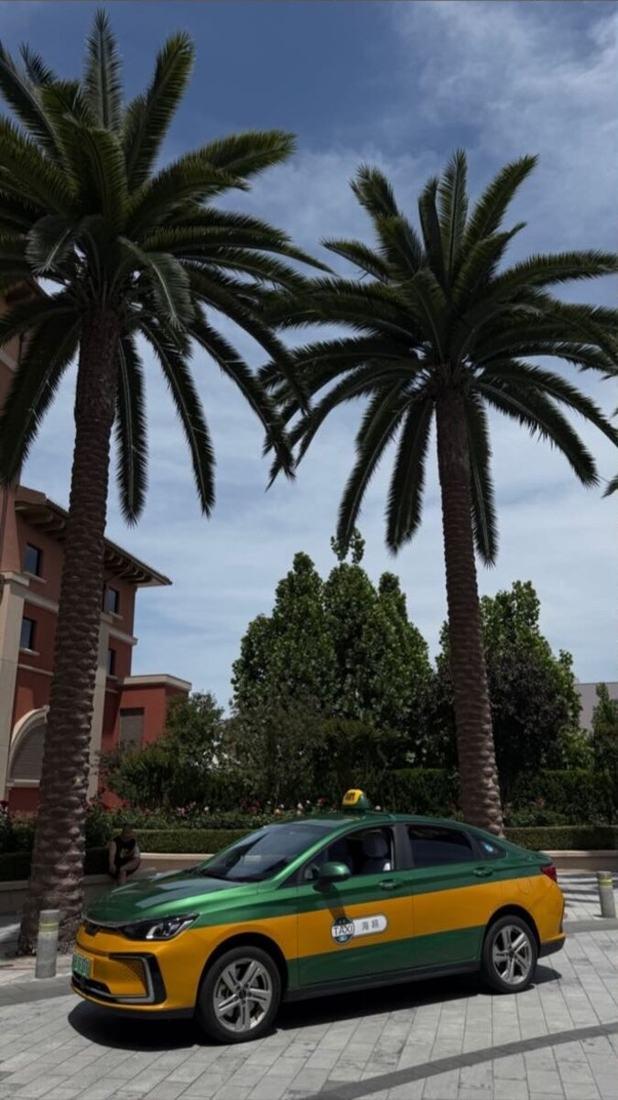 A green and yellow Beijing taxi parked under palm trees