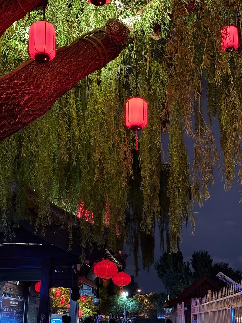 Red lanterns hanging from a willow over a Shichahai street at night