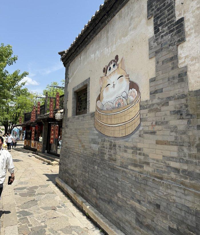Mural of a cat in a wooden tub on a grey brick wall in the old town