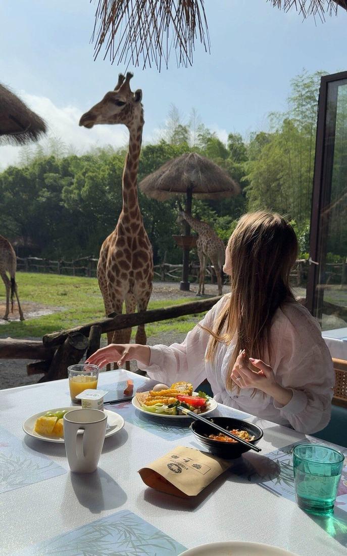 A guest watching giraffes from the terrace of the hotel