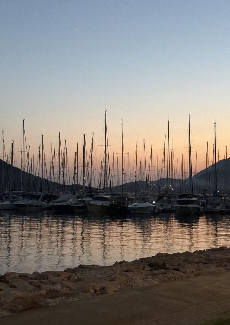 Rows of sailing-boat masts in a marina at dusk, silhouetted against a peach sky and dark hills, reflected in the water